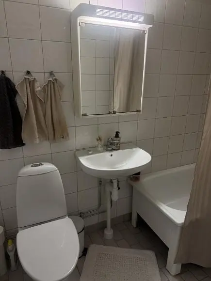 Badezimmer; fliesenboden, tageslicht