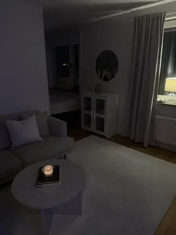 Wohnzimmer; dunkles interieur, tageslicht