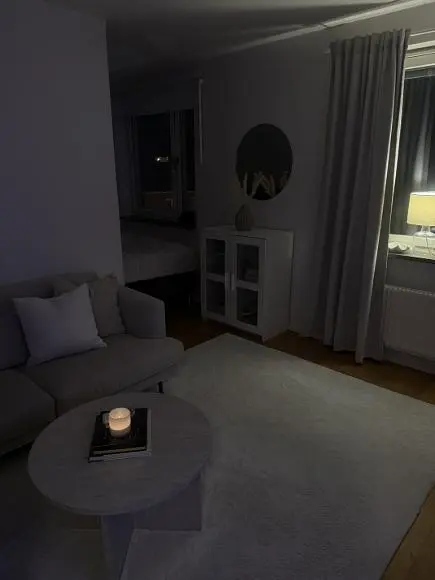 Wohnzimmer; dunkles interieur, tageslicht