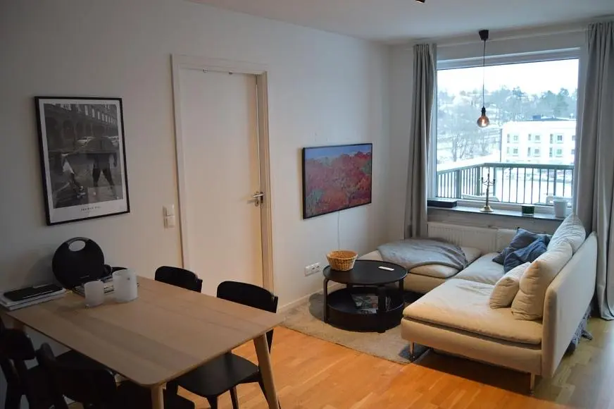 Dnevni boravak; prirodna svjetlost, moderan stil