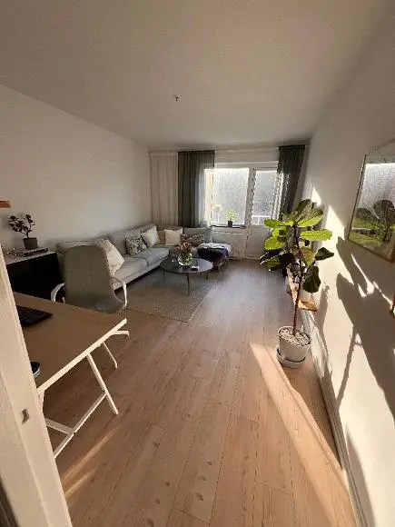 Wohnzimmer; tageslicht, holzboden, moderner stil