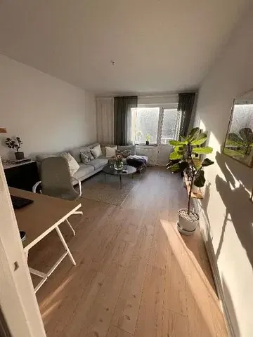 Wohnzimmer; tageslicht, holzboden, moderner stil