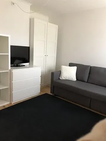 Salon; lumière naturelle, style moderne