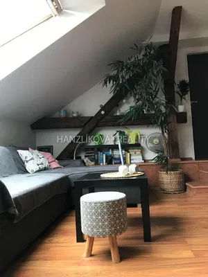 Wohnzimmer; holzboden, tageslicht, moderner stil