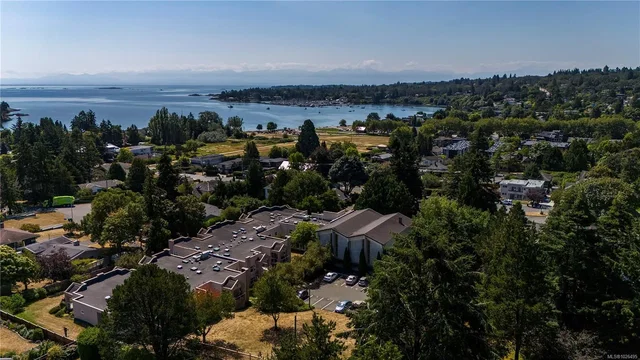 House and surroundings; view