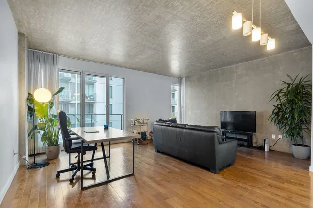 Living room; natural light, wood floor, modern style