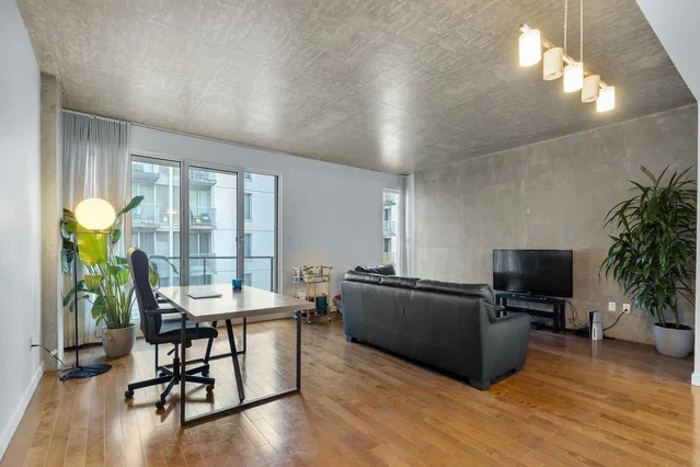 Living room; natural light, wood floor, modern style