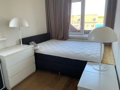 Bedroom; wood floor, natural light, modern style