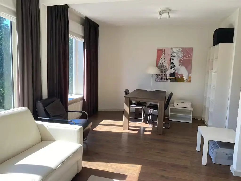 Living room; natural light, modern style