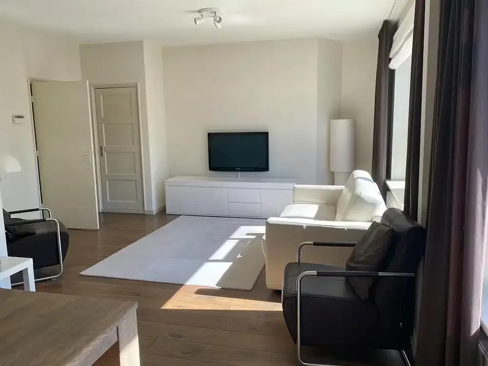 Living room; natural light, wood floor