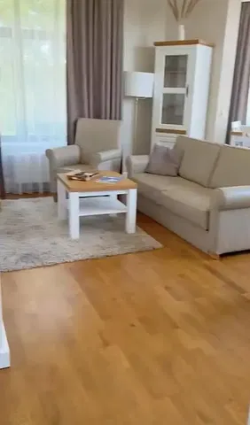 Salon; podłoga drewniana, światło dzienne