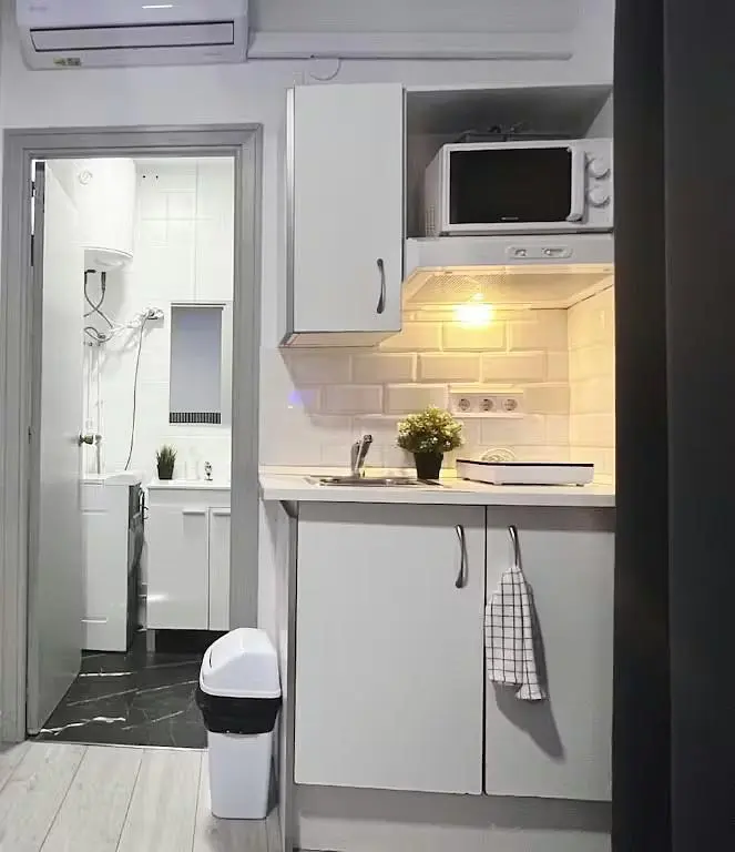 Kitchen; kitchen appliances, natural light, modern style