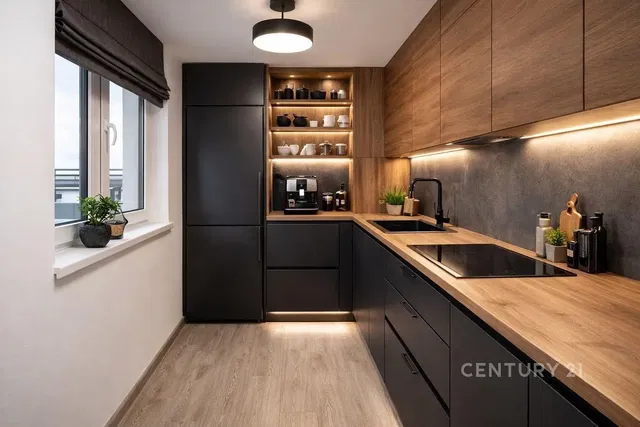 Kuhinja; kućanski aparati, prirodna svjetlost, moderan stil, renoviran