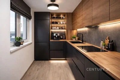 Cozinha; eletrodomésticos, luz natural, estilo moderno, renovado