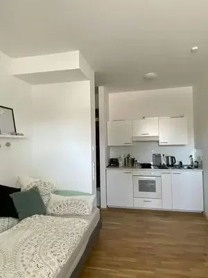 Keuken; keukenapparatuur, houten vloer, natuurlijk licht