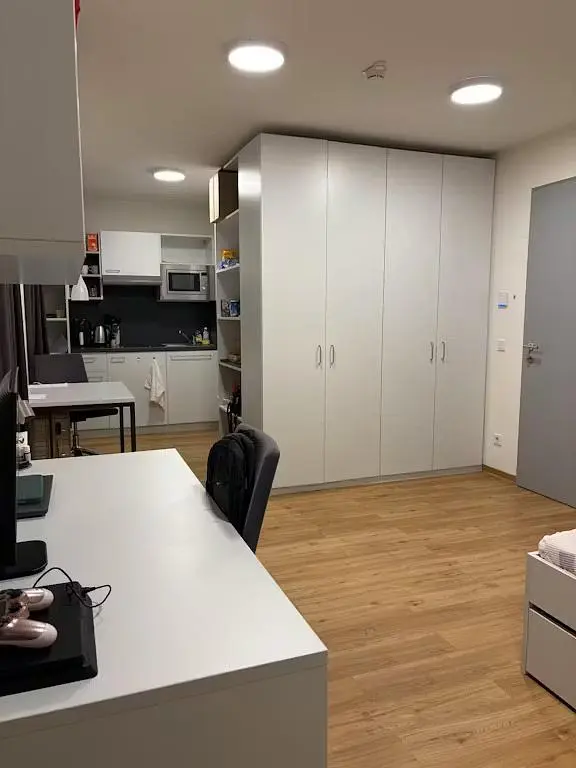 Keuken; keukenapparatuur, houten vloer, natuurlijk licht