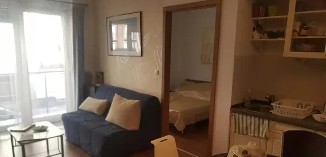 Living room; view, natural light