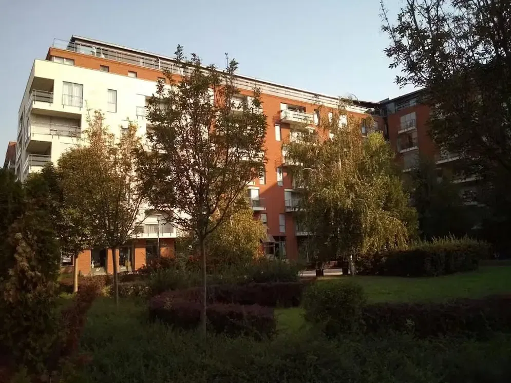 House and surroundings; view