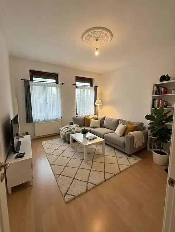 Living room; wood floor, natural light, modern style