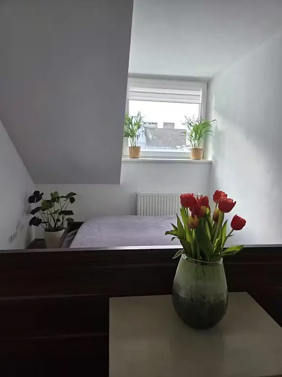 Schlafzimmer; tageslicht, moderner stil