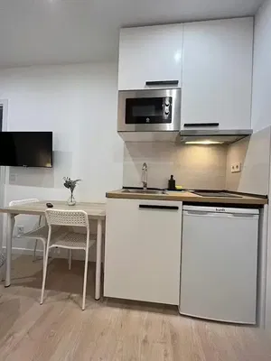 Keuken; keukenapparatuur, natuurlijk licht, moderne stijl, houten vloer