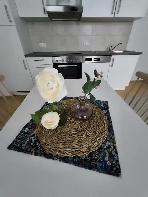 Keuken; keukenapparatuur, natuurlijk licht