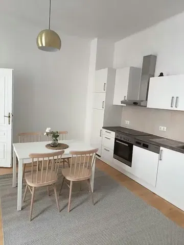 Keuken; keukenapparatuur, natuurlijk licht, moderne stijl