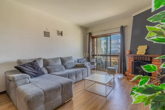 Salon; cheminée, vue, lumière naturelle