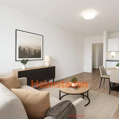 Хол; естествена светлина, модерен стил