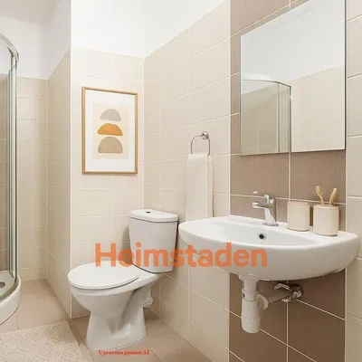 Тоалетна; плочки, естествена светлина, модерен стил