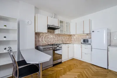 Кухня; кухненски уреди, ремонтиран, естествена светлина, модерен стил