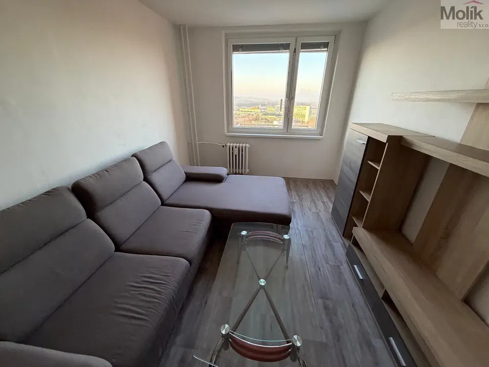 Obývací pokoj; výhled, dřevěná podlaha, přirozené světlo