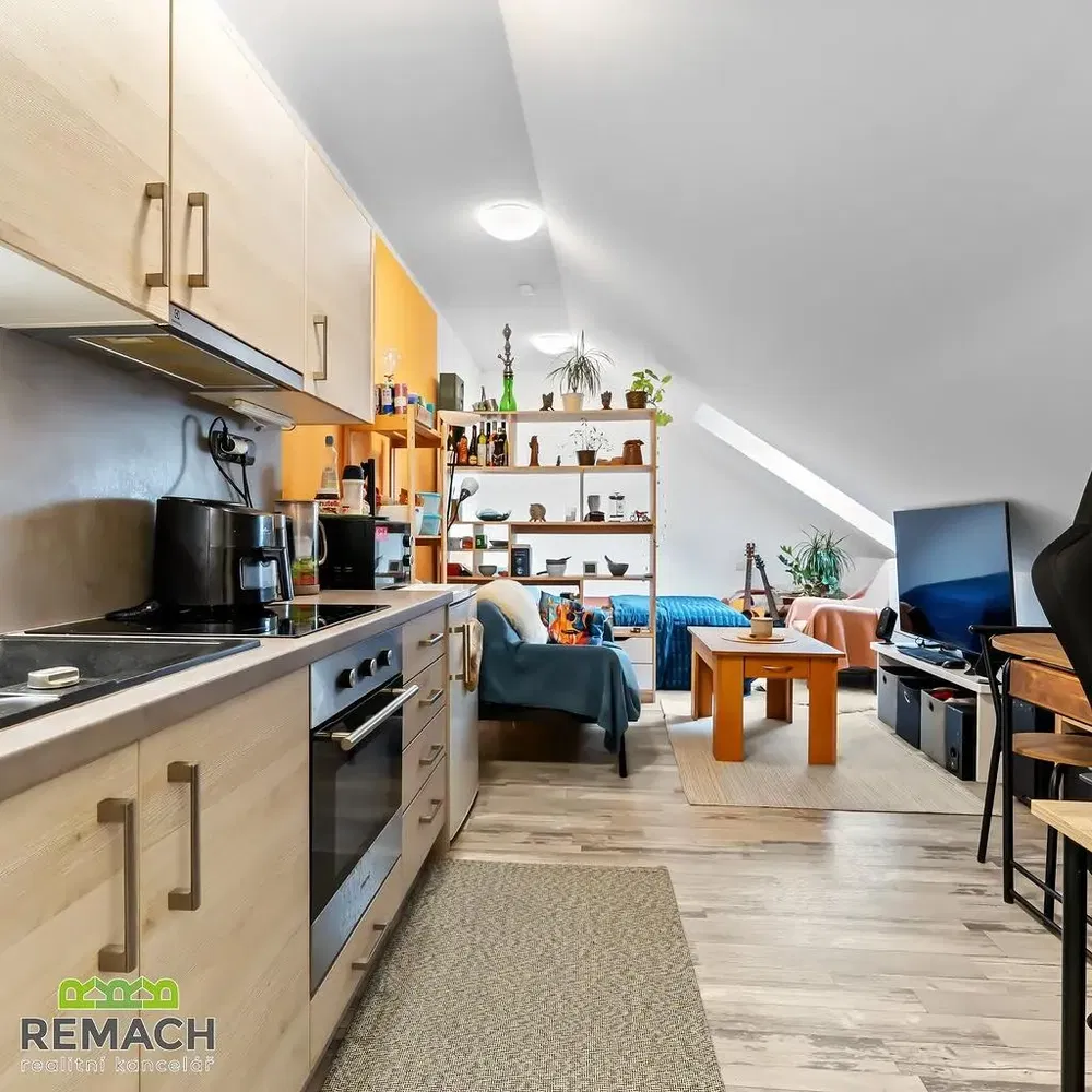 Kuchyně; kuchyňské spotřebiče, přirozené světlo, moderní styl