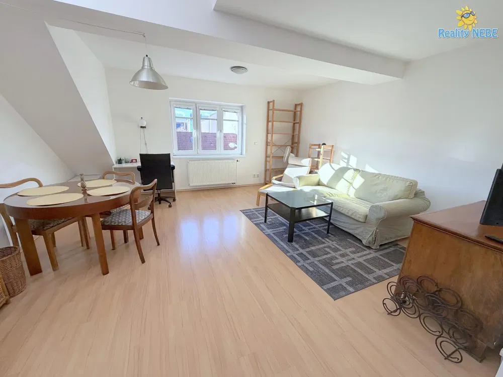 Living room; natural light, modern style