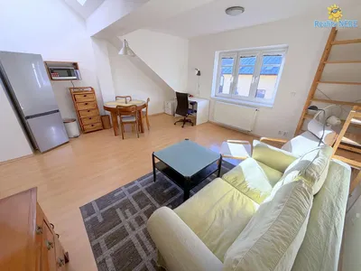 Living room; view, natural light