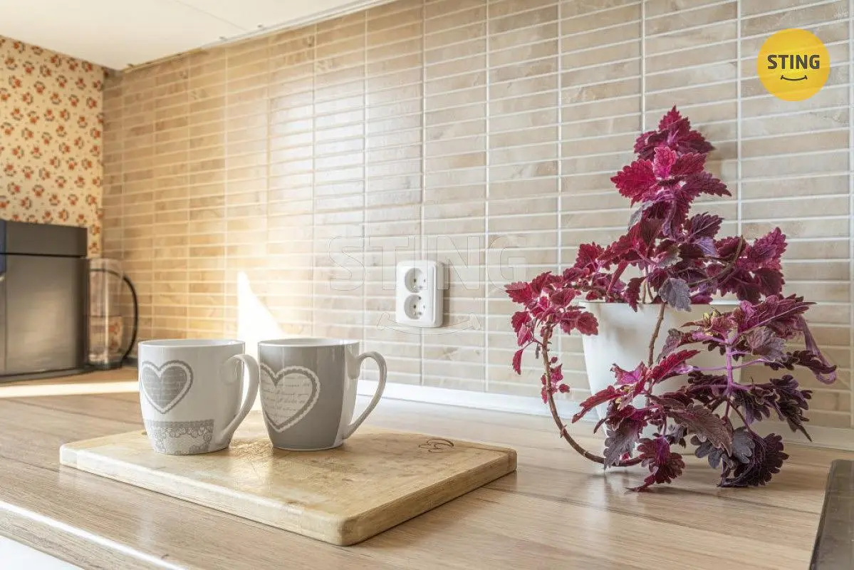 Kuchnia; światło dzienne