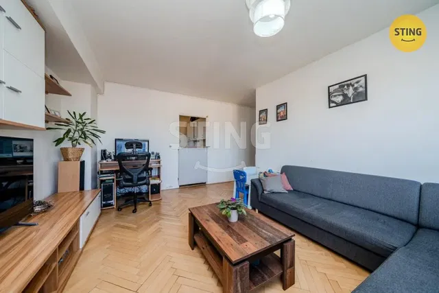 Хол; дървен под, естествена светлина, модерен стил