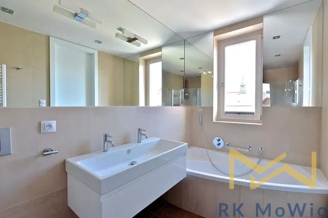 Bathroom; renovated, natural light, modern style