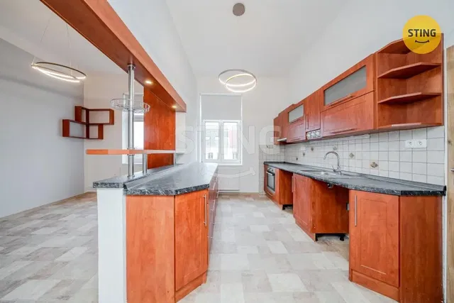 Keuken; keukenapparatuur, natuurlijk licht, moderne stijl