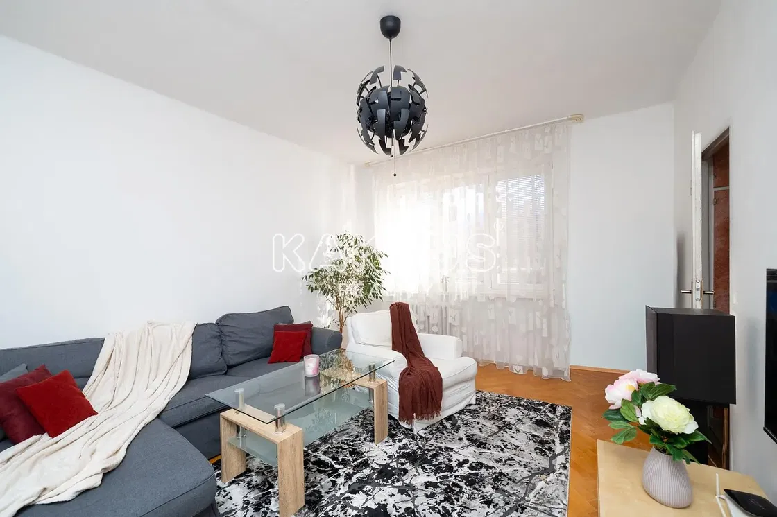 Хол; естествена светлина, модерен стил