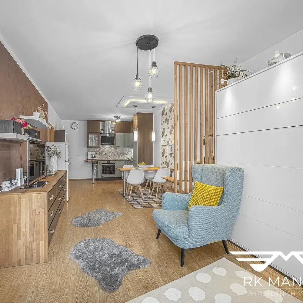 Living room; modern style, wood floor, natural light, renovated