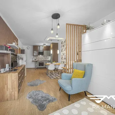 Living room; modern style, wood floor, natural light, renovated