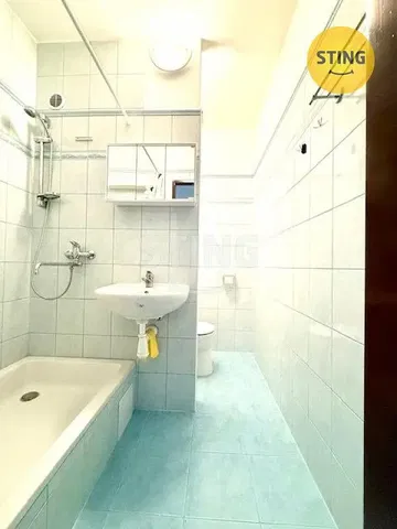 Bathroom; tile floor, natural light