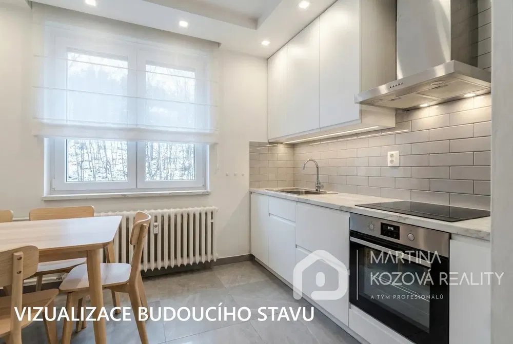 Кухня; кухненски уреди, естествена светлина, модерен стил, ремонтиран