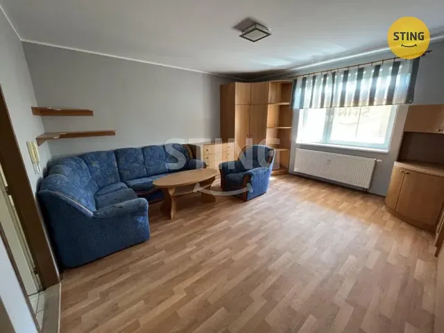 Salon; podłoga drewniana, światło dzienne