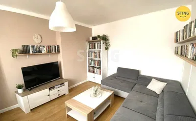 Living room; natural light, modern style