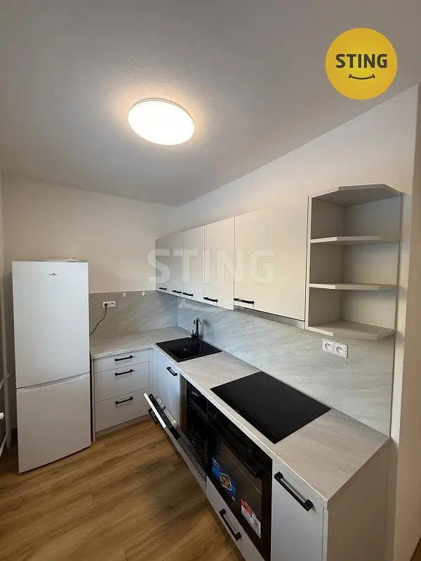 Küche; küchengeräte, holzboden, renoviert, tageslicht