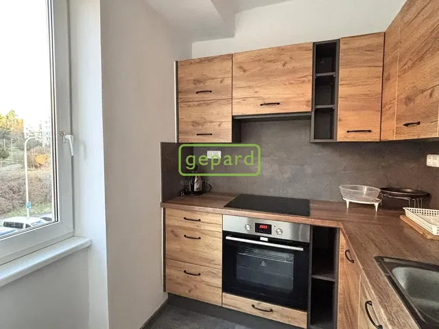 Kitchen; kitchen appliances, view, natural light