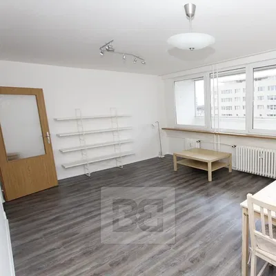 Living room; natural light, modern style