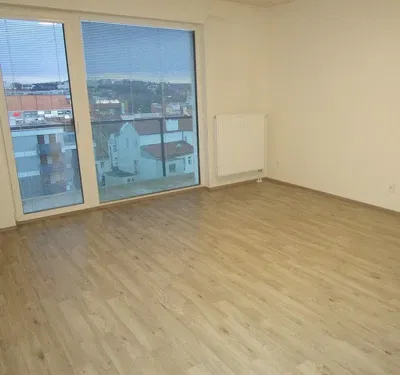 Хол; гледка, дървен под, естествена светлина